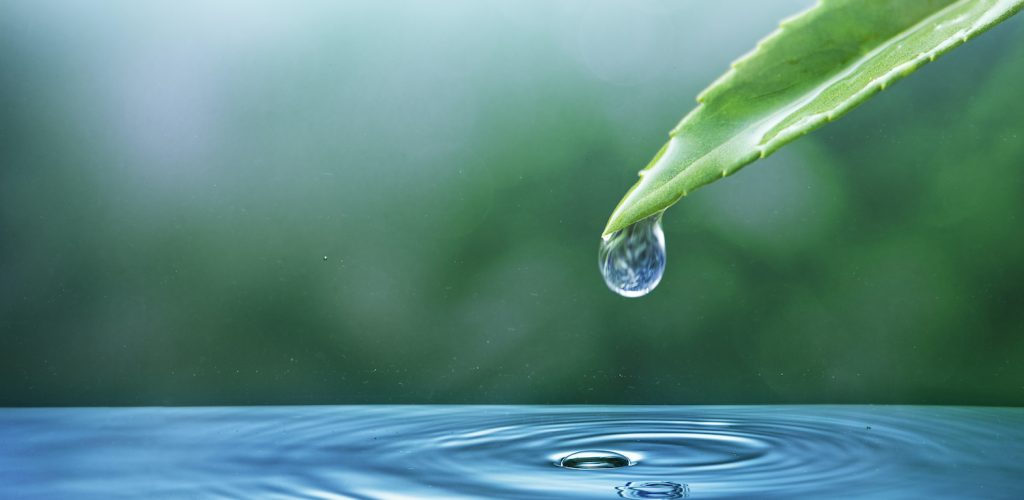 Giornata acqua: siccità in Lombardia