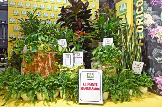 CORSO TECNICHE VIVAISTE