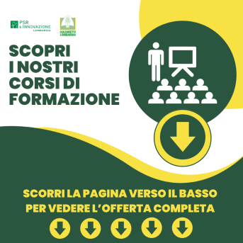 Corsi, offerta completa