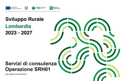 CONSULENZA OPERAZIONE SRH01